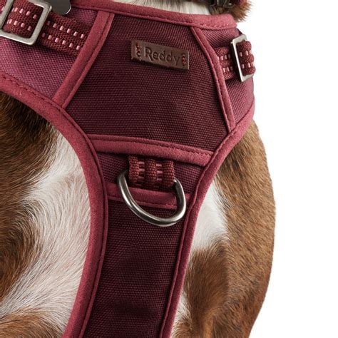 Reddy Burgundy Canvas Dog Harness | Canadian Tire