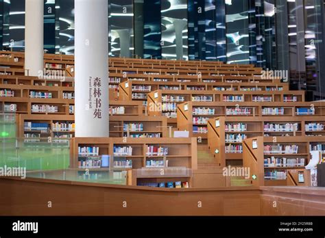 Beijing Library 的图像结果