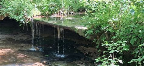 Smooth As Silk Qigong , 200 w 1st St suite 302, Farmington, MO, 26 ...