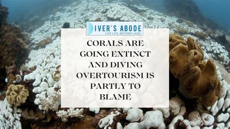 Why Do Deep Sea Divers Use Helium ? 8 Ways Helium Is Beneficial For ...