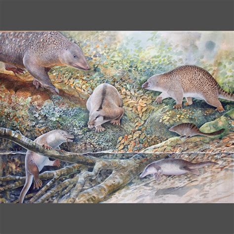 Download - Australia's "Indiana Jones" and the lost Age of Mammals ...