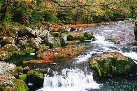 THE 30 BEST Places to Visit in Kikuchi (2026) - Must-See Attractions