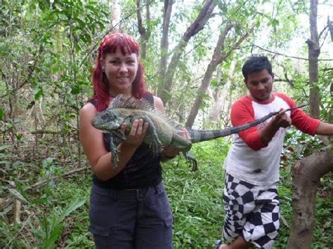 Fly Catcher Tours (Iquitos) - All You Need to Know BEFORE You Go