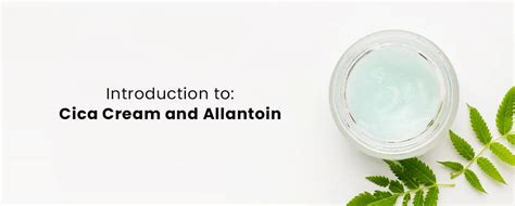 Introduction to Cica Cream and Allantoin: Healing Ingredients for Skin ...