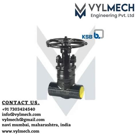 KSB Valves - KSB Swing Check Valve Manufacturer from Thane