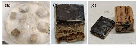 Decay Resistance of Surface Carbonized Wood