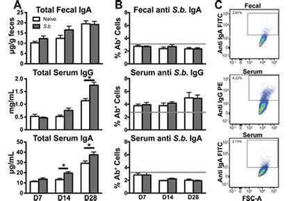 Saccharomyces Boulardii probitic strain | Bioflex