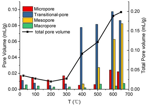 Influence of In Situ Pyrolysis on the Evolution of Pore Structure of ...