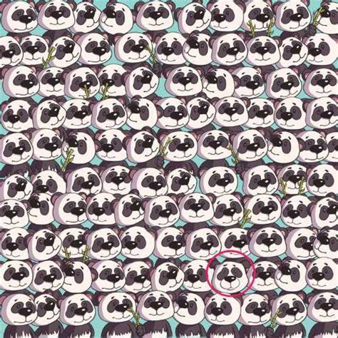 If You Possess 140+ IQ Level, Then Spot The Dog Among The Pandas!