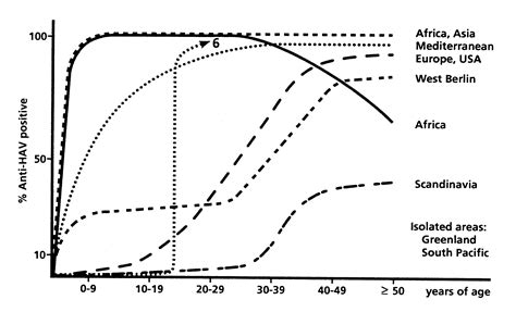 DO HEPATITIS A ANTIBODIES INDICATE INFECTIVITY?