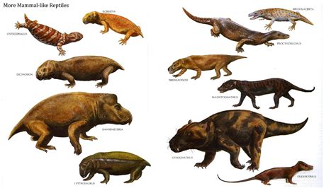 Fascinating Prehistoric Creatures