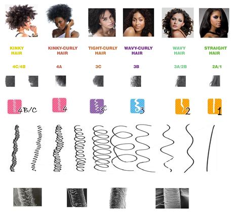 Types of Black Hair Texture - Do The Hotpants