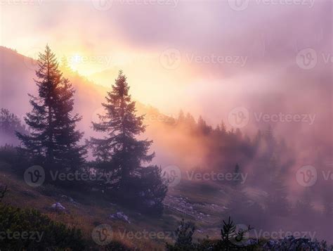 Beautiful Morning View 的图像结果