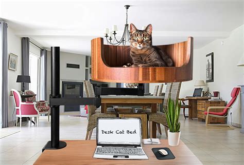 Why Do Cats Trill at Each Other: Understanding Feline Sounds – Desk Cat ...