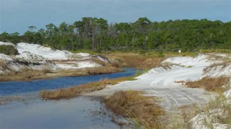 TOPSAIL HILL PRESERVE STATE PARK (Santa Rosa Beach) - Campground ...