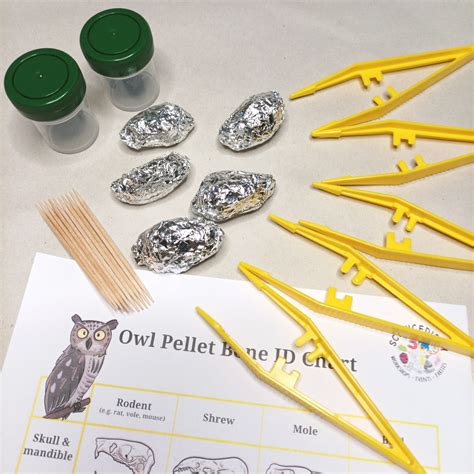 Shop | Science Kits | Owl Pellet Dissecting Kit x 5