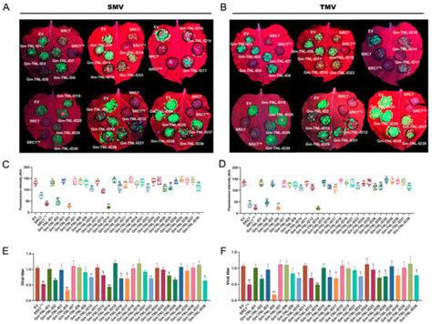 Development of an NLR-ID Toolkit and Identification of Novel Disease ...