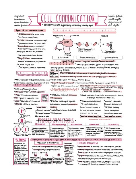 AP Biology Unit 4 Review Notes - Etsy