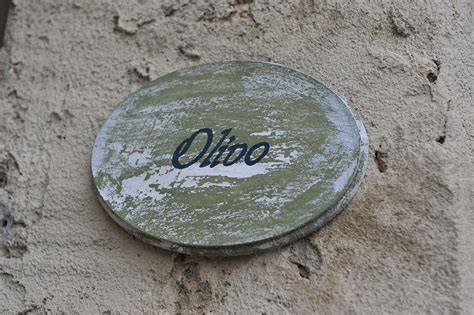 Olivo - Nerbona