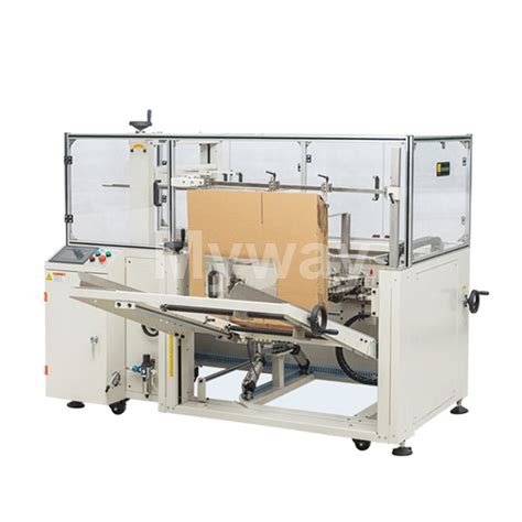 Image result for Automatic Case Packing Line