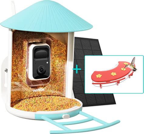 Amazon.com : Netvue Smart Hummingbird Feeder with Camera, Bird Houses ...