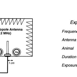Exposure Amps 的图像结果