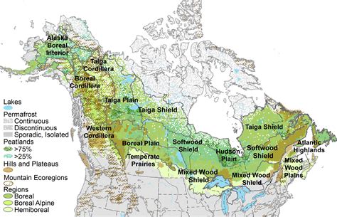 New framework identifies climate change “refugia” in boreal forest | Canadian Geographic