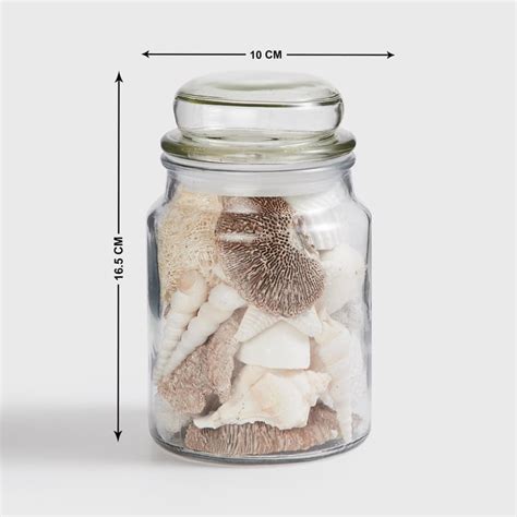 Buy Corsica Glass Decorative Jar with Shells from Corsica by Home ...