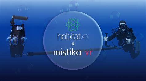 A deep dive into VR underwater world with Habitat XR and Mistika VR – SGO