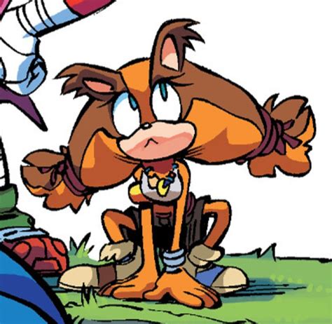 Sticks the Badger | Sonic art, Sonic funny, Hedgehog