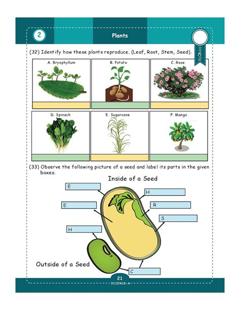 5th Grade Science 的图像结果