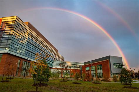 George Mason University: Admissions, Ranking, Acceptance Rate, Courses ...