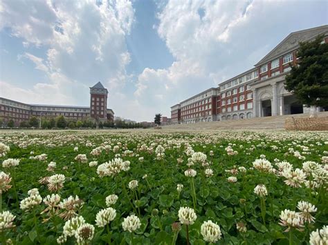 昆明市官渡区北京八十学校招聘-万行教师人才网