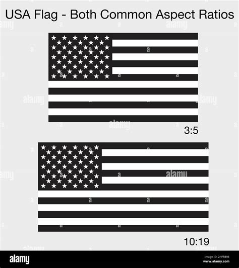 accurate correct black and white USA flags both common sizes aspect ratios vector illustration ...