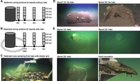 Scientists have discovered mysterious barrels encircled by strange ...