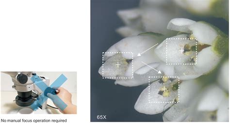 MEADOF-T20 Smart 3D-Super Depth of Field Microscope | nbicoe.com
