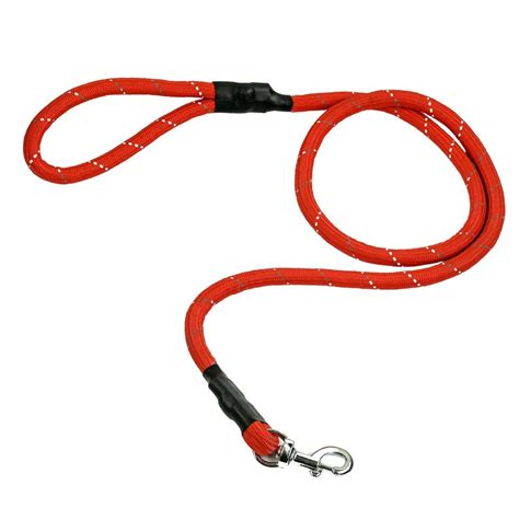 Buy BlingPets Dog Rope Leash Suitable for Dogs | Blingpets
