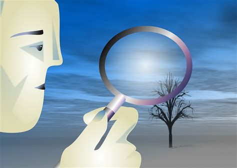 Inference Observation 的图像结果