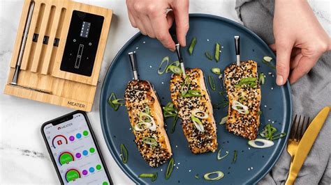 Meater Block temperature probe review: transformative meat cooking | T3