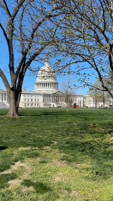Best 13 Washington DC | Washington DC Travel | USA | US Capitol – Artofit