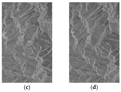 Comparison and Analysis of Geometric Correction Models of Spaceborne SAR