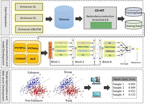 A Novel Predictor for the Analysis and Prediction of Enhancers and ...