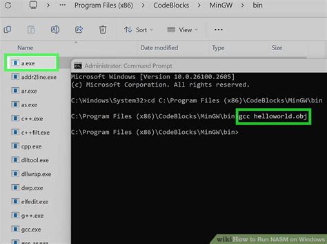 NASM Computer Program 的图像结果