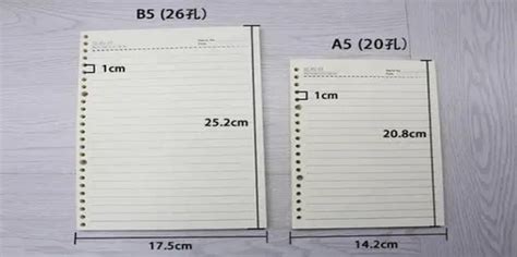 b5纸多大尺寸（b5纸尺寸是多少厘米）
