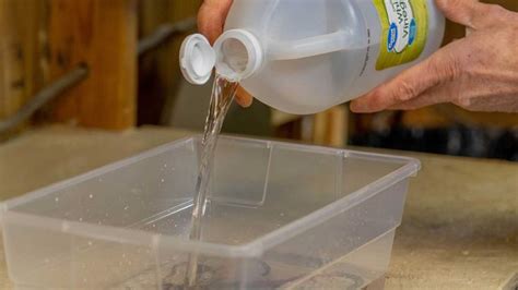 How to Clean Rusty Tools 的图像结果