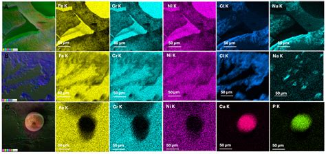 Evaluating the Impact of Artificial Saliva Formulations on Stainless ...
