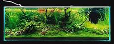 amano aquascape takashi amano s 180x60x60cm triangular driftwood aquascape amano aquascape takashi amano s 180x60x60cm triangular driftwood aquascape