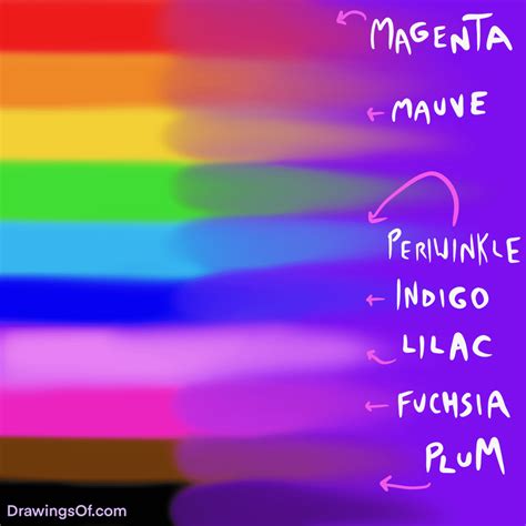 Purple Vs Violet Color