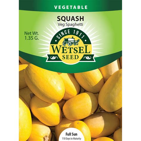 Wetsel Seed Spaghetti Squash Seed - Greenhouse Megastore
