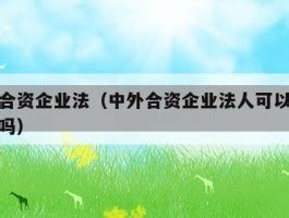 营业执照上有两个法人或法人是外国人时，如何填写法人信息？-上上签电子签约云平台